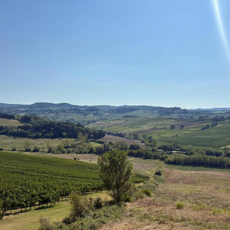 Poderi Arcangelo Glamping - Tree House - 1