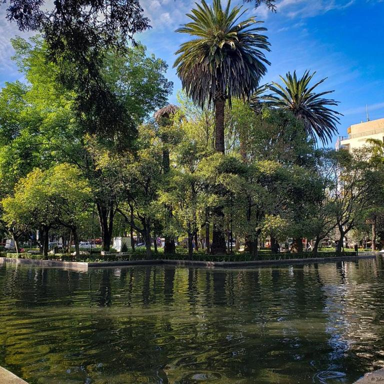 Departament en Polanco, CiudadDeMéxico - Two-Bedroom Apartment - 16