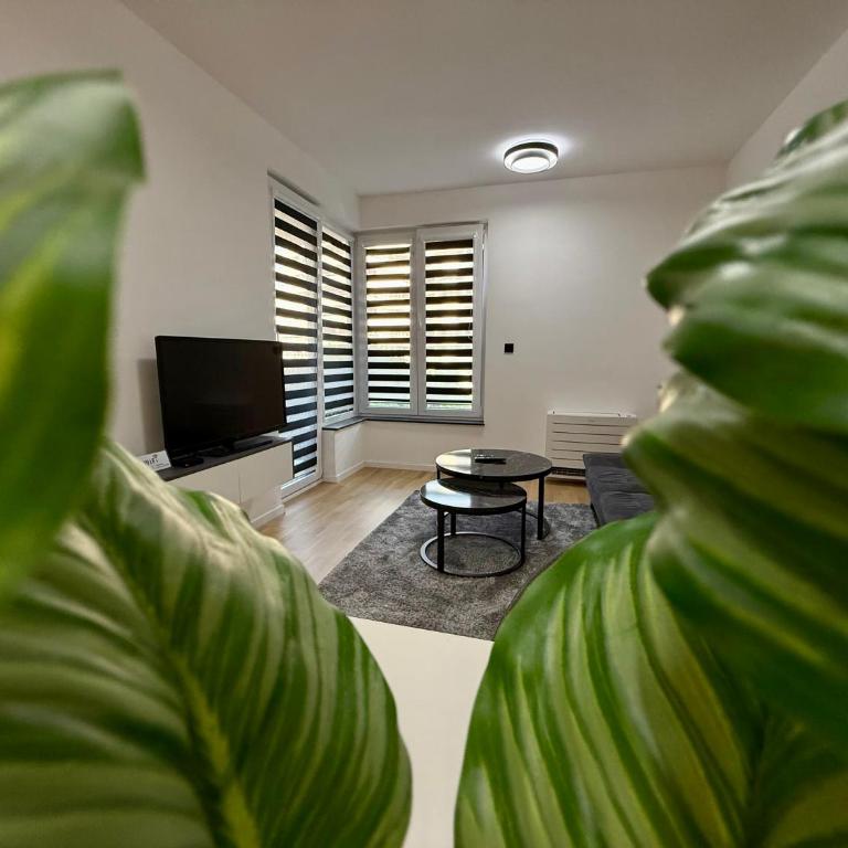 Apartment Residence Ilidža - Apartman sa 1 Spavaćom Sobom - 7