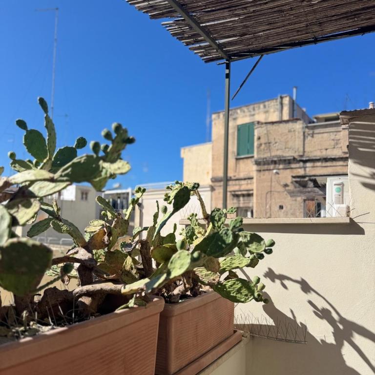 Best Stay - Intendenza21 - Appartamento con Terrazza - 33