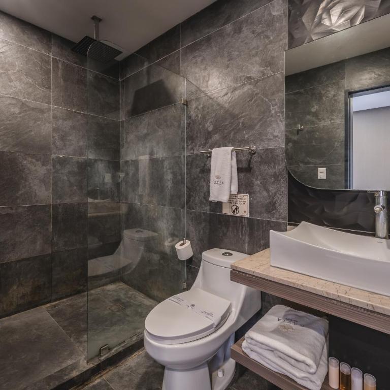 Hotel Kavia Premium - Paseo Montejo - Deluxe Room - 2