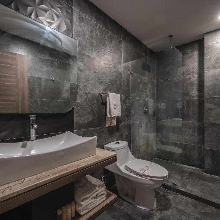 Hotel Kavia Premium - Paseo Montejo - Deluxe Double Room - 9