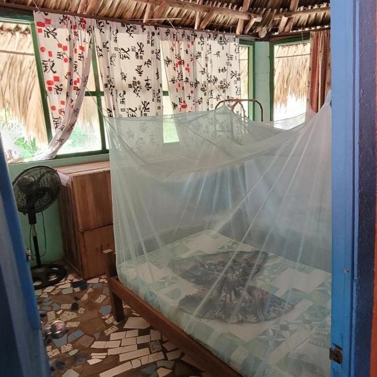 Hotel Mi Cassona Palomino - Habitación Compartida Mixta - 6