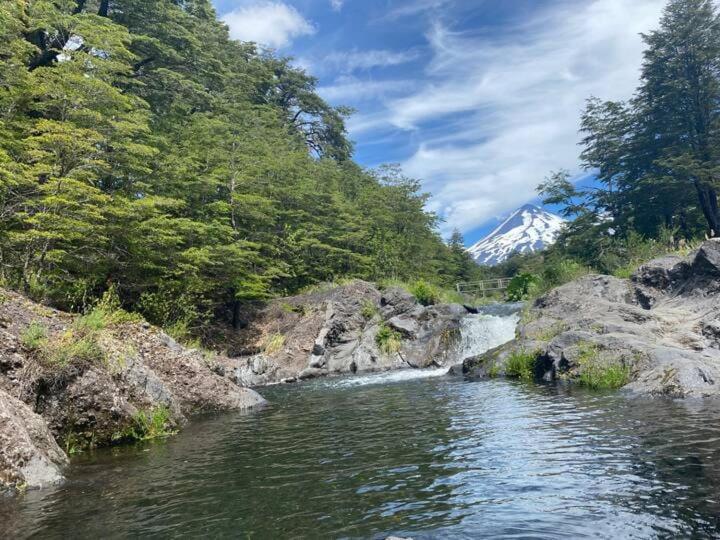 Tinaja, río y bosque en Conguillío - Tent - 22