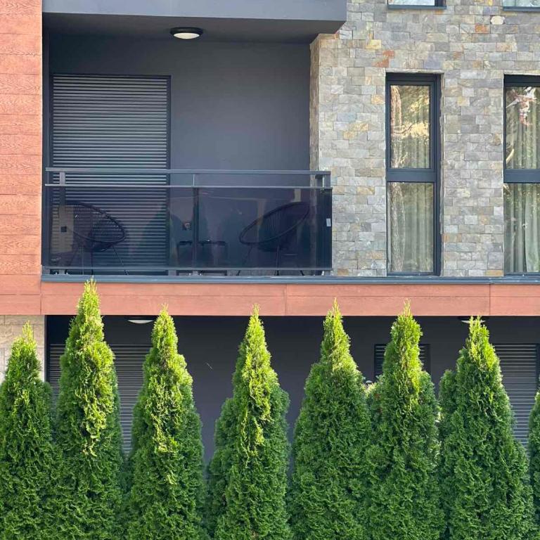 Pine & Peak Zlatibor Apartman - One-Bedroom Apartment - 13