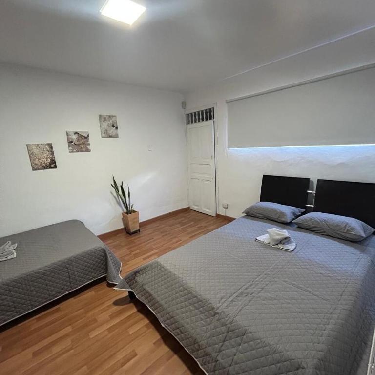 Apartamento Rosa colonial - One-Bedroom Apartment - 4
