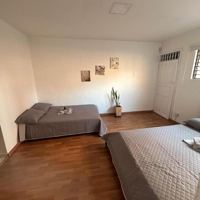Apartamento Rosa colonial - One-Bedroom Apartment - 6