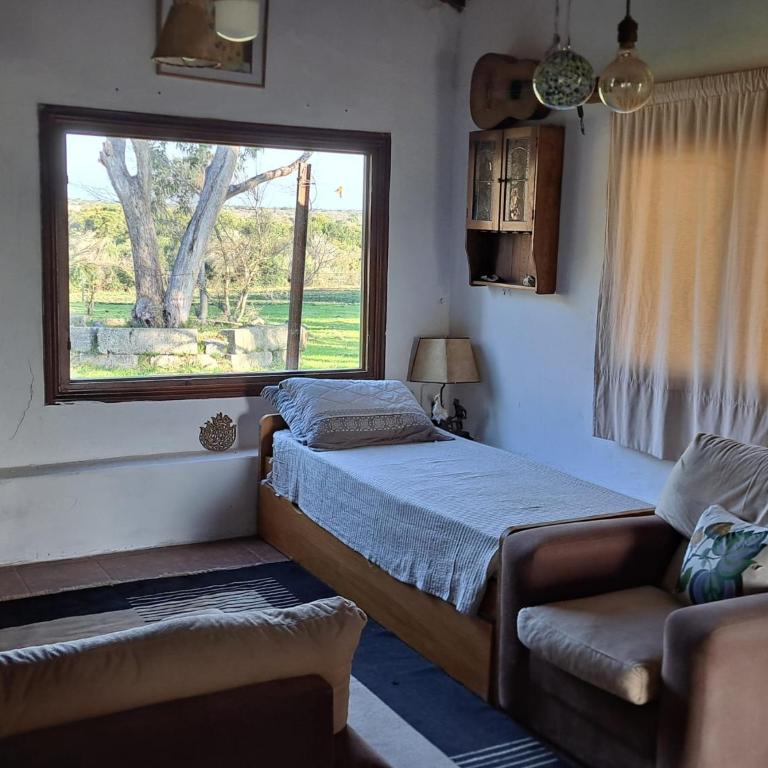 La Mansión - One-Bedroom House - 18