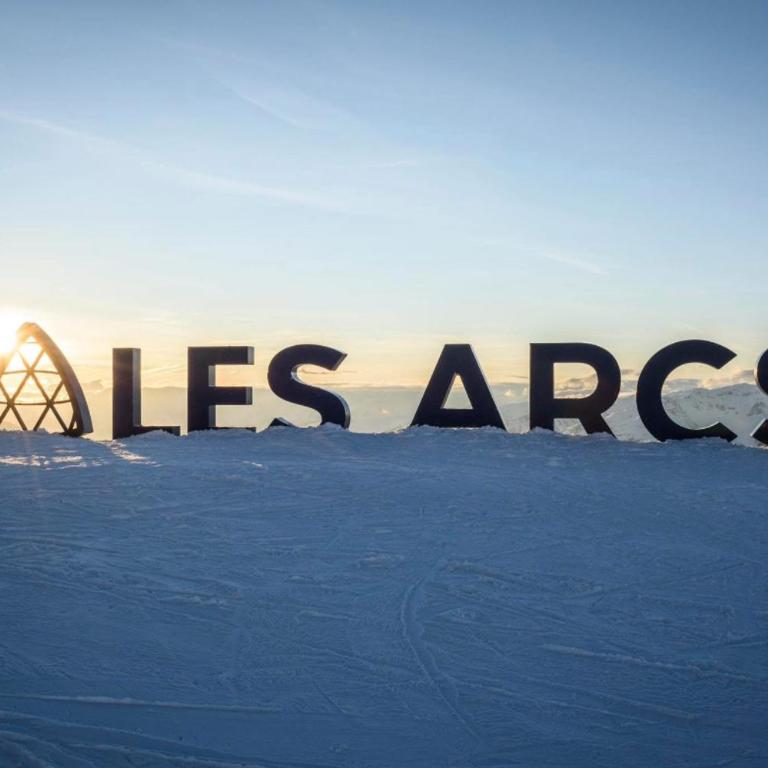 Les ARCS 1600 - SKI AUX PIEDS - MAGNIFIQUE DUPLEX 12 PERSONNES - Appartement - 2