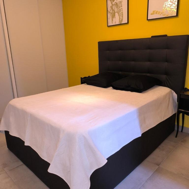 1 Chambre pour 2 personnes - Chambre Double avec Salle de Bains Commune - 1