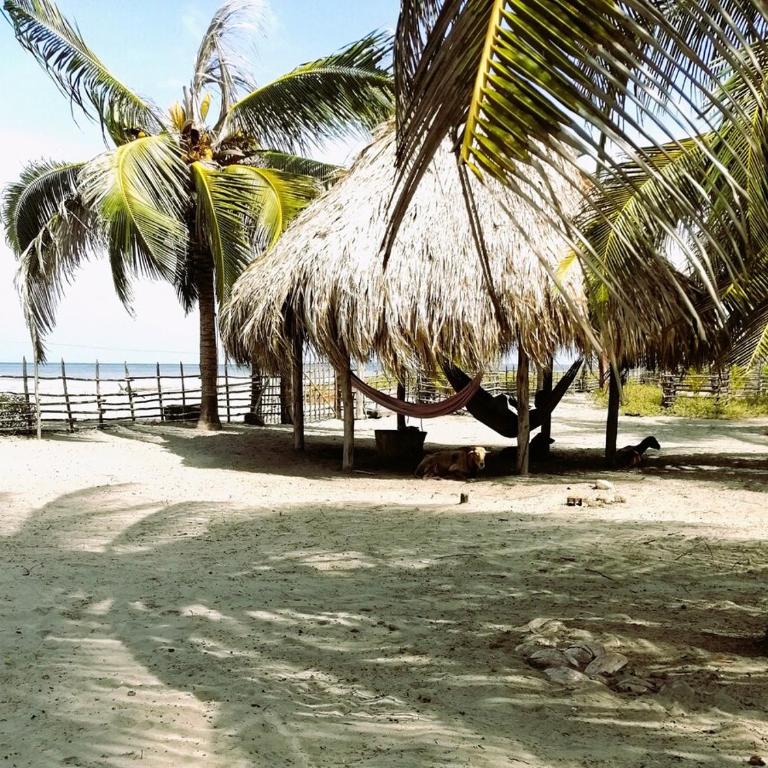 Coco y arena cabaña frente al mar, lejos del turismo y cerca a los manglares - Casa - 19