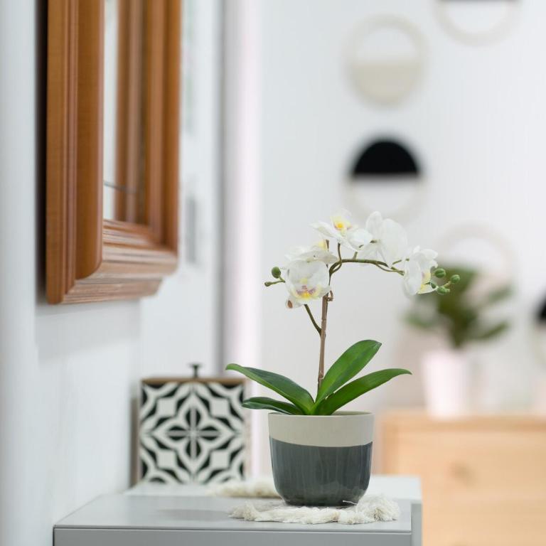 Casa Cielo - Apartamento de 1 dormitorio - 4