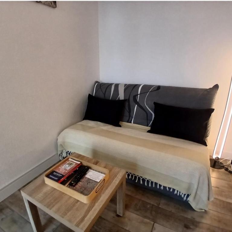 Charmant T2 avec loggia belle vue mer et parking - Apartamento de 1 dormitorio - 7