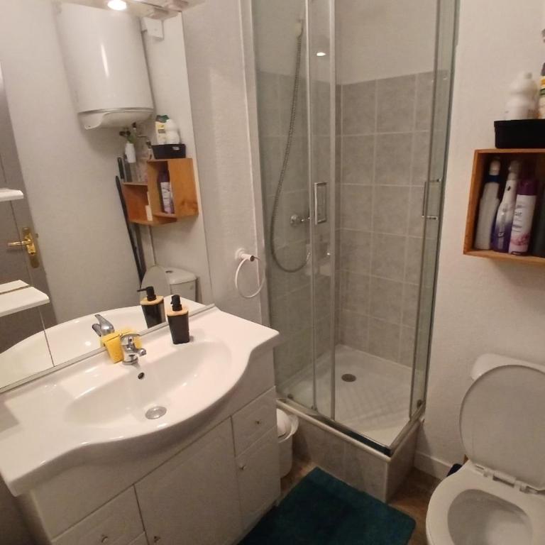 Charmant T2 avec loggia belle vue mer et parking - Apartamento de 1 dormitorio - 20
