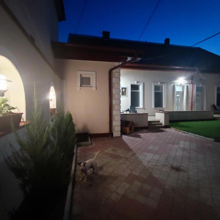 Apartmani Terezija - Studio Apartment - 24