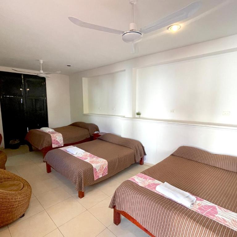 Hotel Las Mestizas Valladolid - Habitación Triple - 4