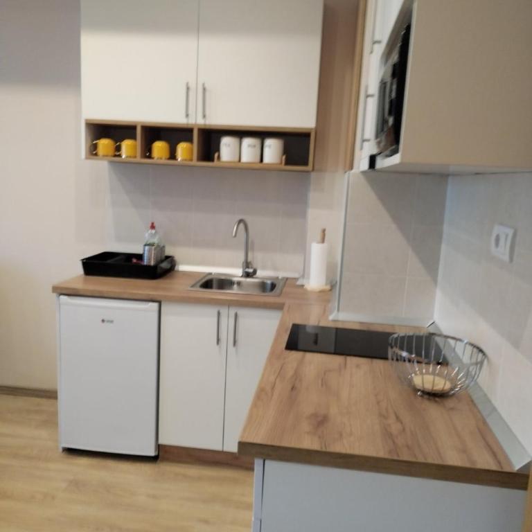 Centar Gondola apartmani - Apartman sa 1 Spavaćom Sobom - 9