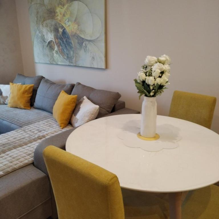 Centar Gondola apartmani - Apartman sa 1 Spavaćom Sobom - 6