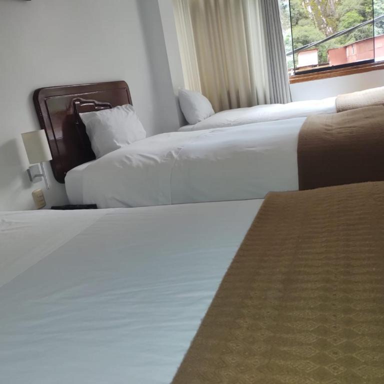 Selvaterra - Habitación Triple - 1