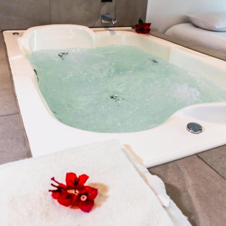Zakua Gardens - Superior Double or Twin Room with Garden View - 2