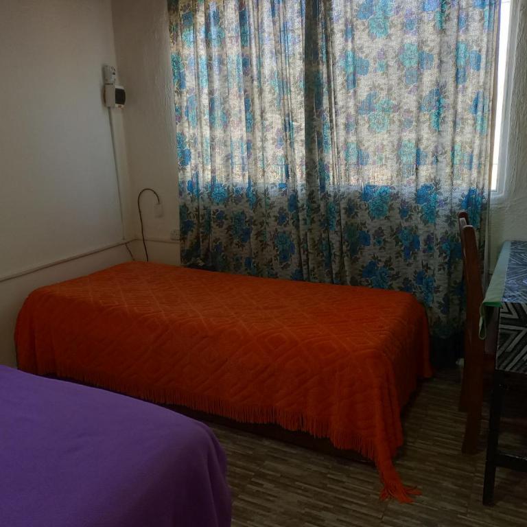 Los patos - One-Bedroom Apartment - 3