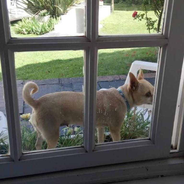 141 Cortada 4198 Villa Gesell, Provincia de Buenos Aires - Apartamento de 3 dormitorios - 23