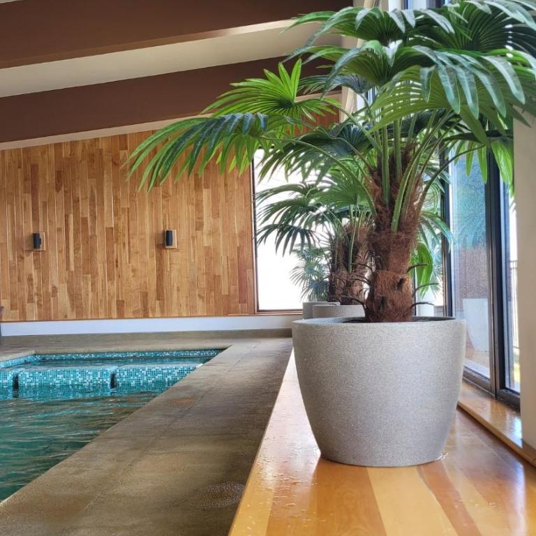 NataLodge Pool and Comfort - Two-Bedroom Apartment - 20