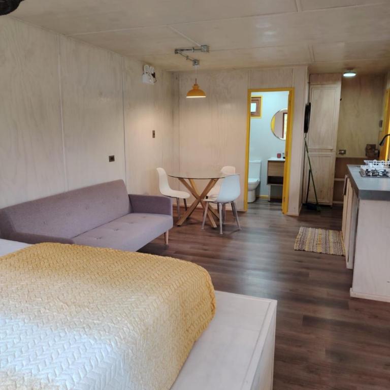 Tiny house río Calle Calle - One-Bedroom House - 32