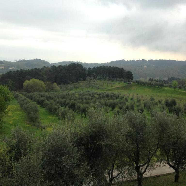 Charming Mansion in Lucca - Casa Vacanze con 2 Camere da Letto - 28
