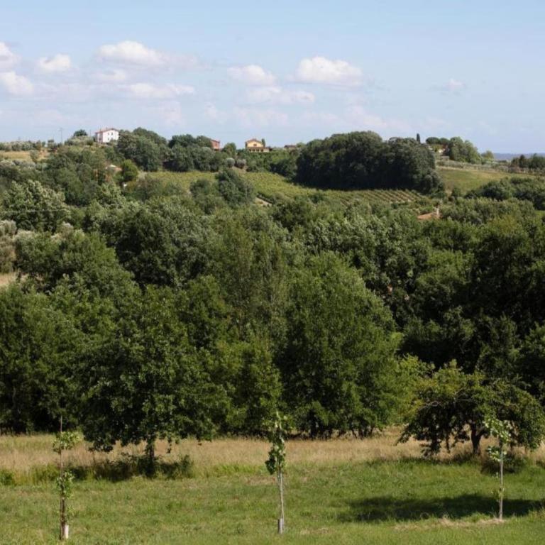 Charming Mansion in Lucca - Casa Vacanze con 2 Camere da Letto - 31