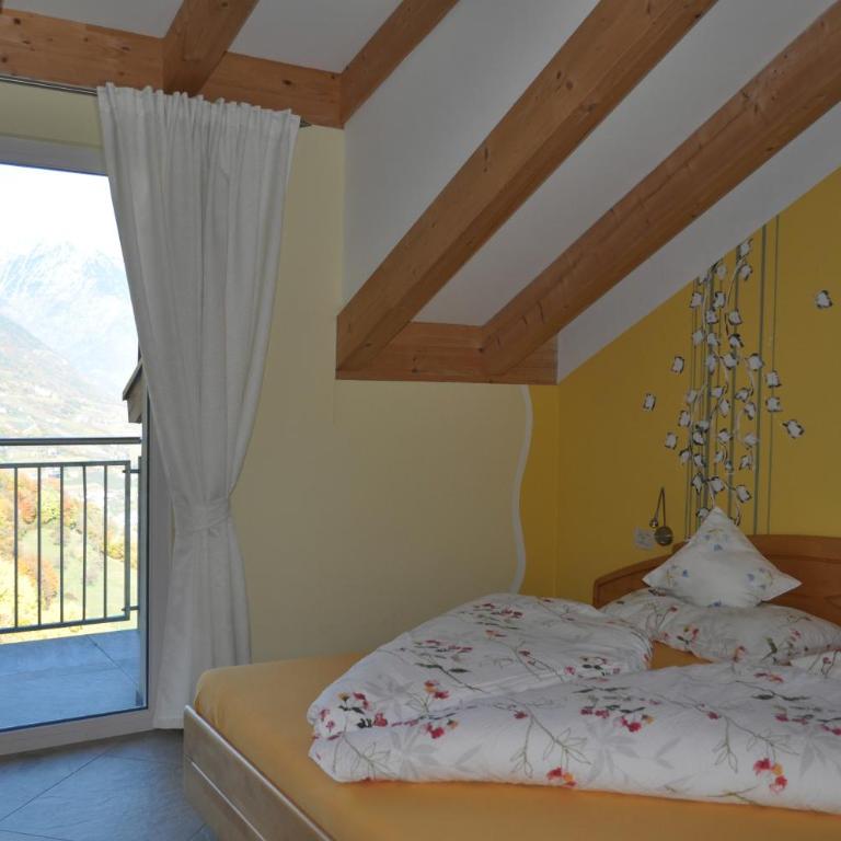 Ferienwohnungen Niederhof - Apartamento de 1 dormitorio con balcón y vistas a la montaña - 3