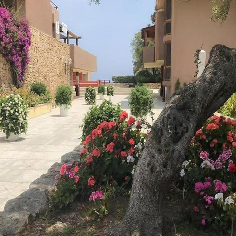 Apartment in Olbia near sea - Appartamento con 2 Camere da Letto - 23