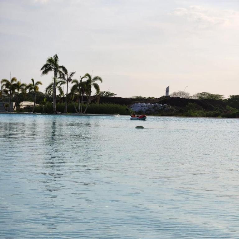 View - Apartamento de 2 dormitorios - 8