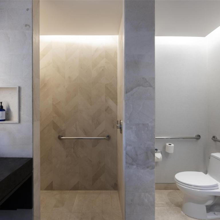 Hilton Guadalajara Midtown - Habitación con ducha a ras de suelo, adaptada para personas de movilidad reducida - Cama extragrande - 9
