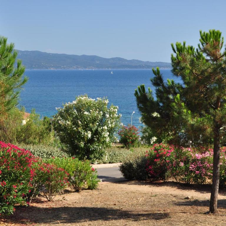 F2 Le Lavezzi - Appartement - Vue sur Mer - 18