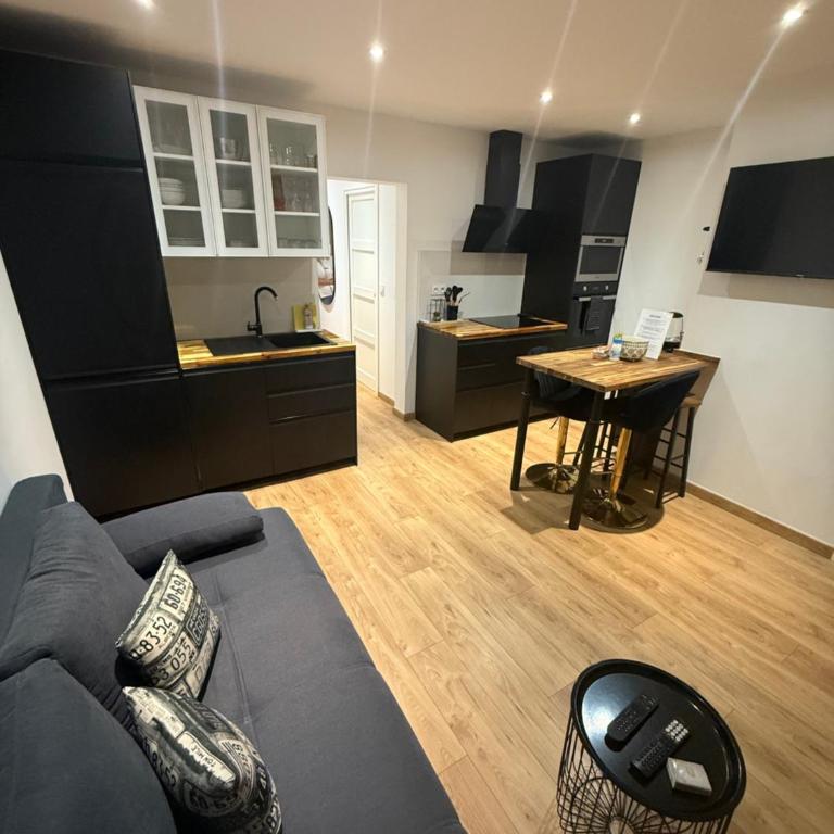 Papillon de cimiez - Appartement 1 Chambre - 1