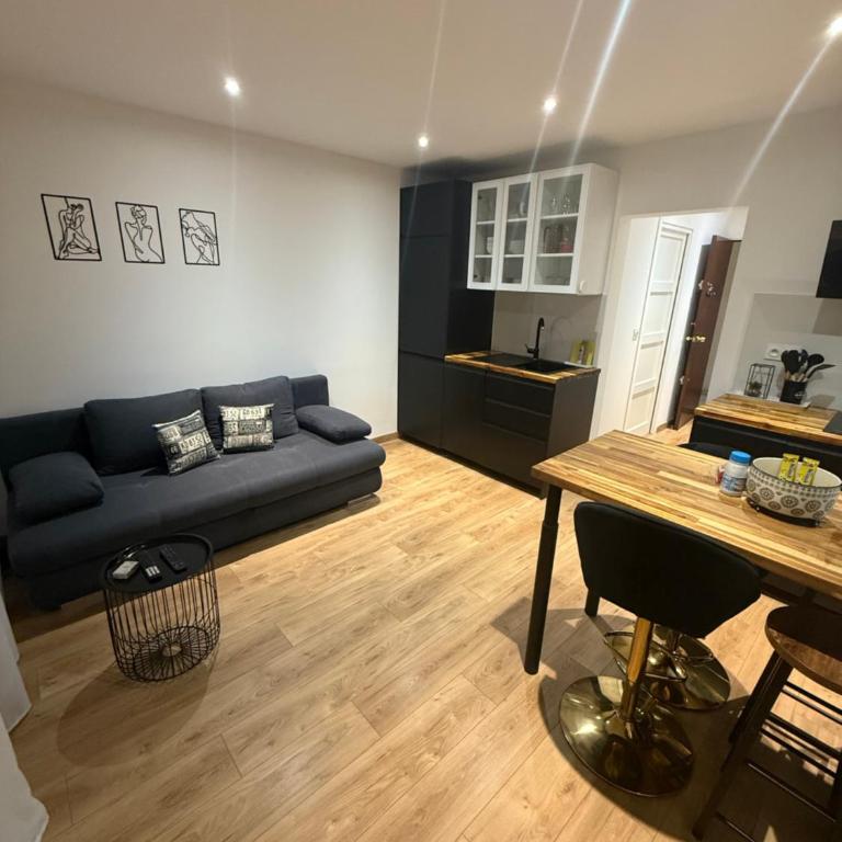 Papillon de cimiez - Appartement 1 Chambre - 3