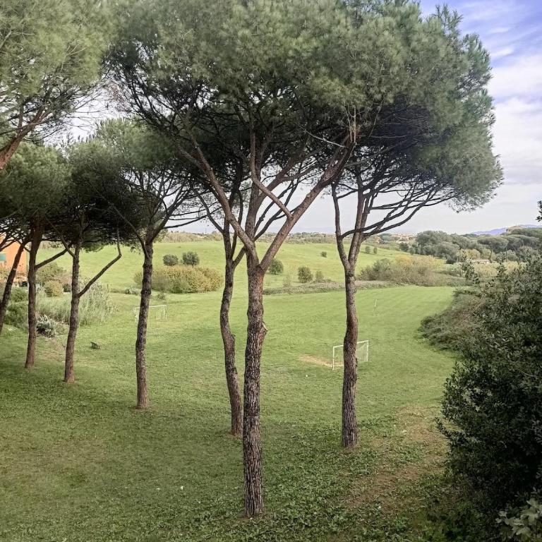 Casa Valle dei Casali near St Peters Basilica - Appartamento con 1 Camera da Letto - 39