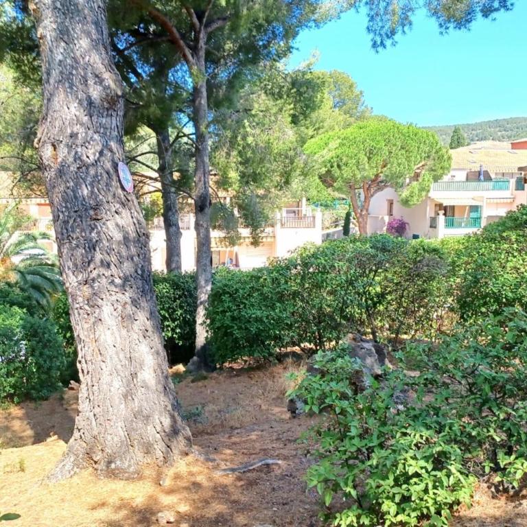 Nice apartment with pool - near the beach - Appartement - 22