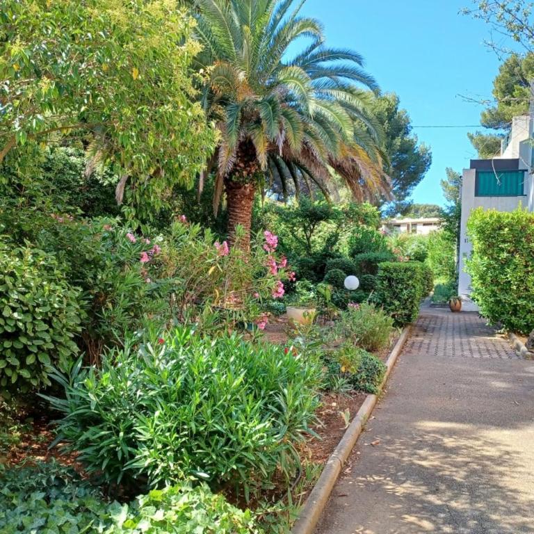 Nice apartment with pool - near the beach - Appartement - 23