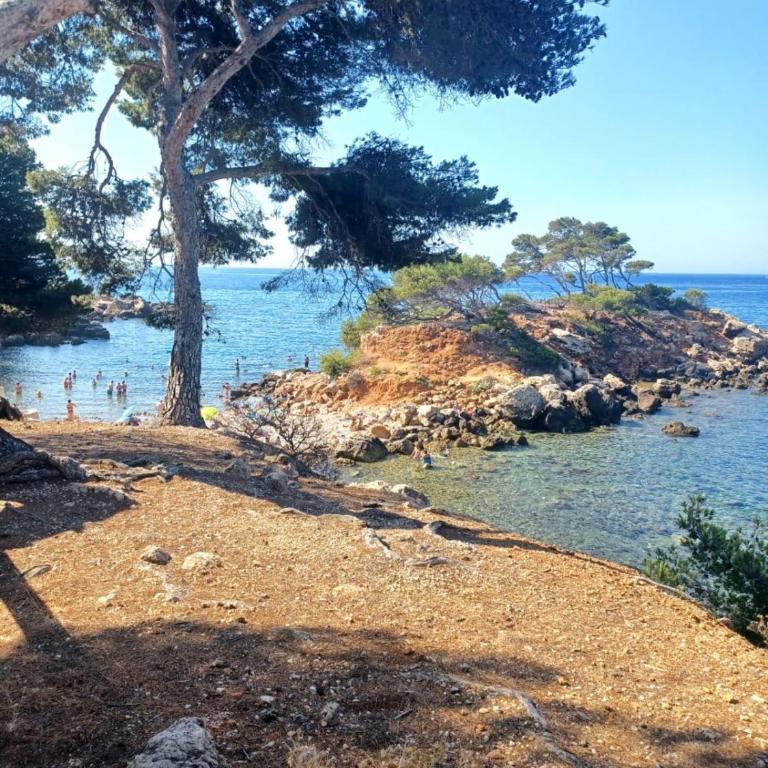Nice apartment with pool - near the beach - Appartement - 30