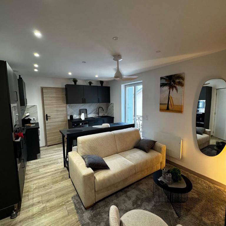 Appartement cosy face au château de Lourdes - Appartamento con 1 Camera da Letto - 2