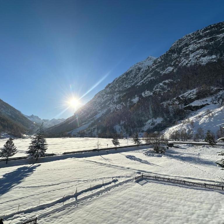 Panorama apartment for 4 near Zermatt - Apartment - 8