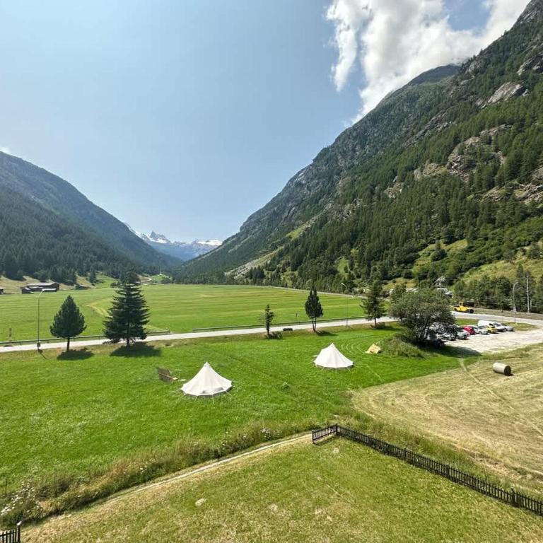 Majestic View Alpine Retreat - Apartment - 10