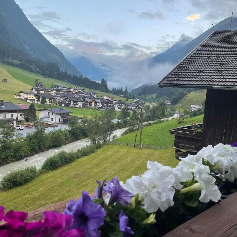 Ferienhaus Klenkes - entschleunigen und erholen - Apartment mit 1 Schlafzimmer - 14