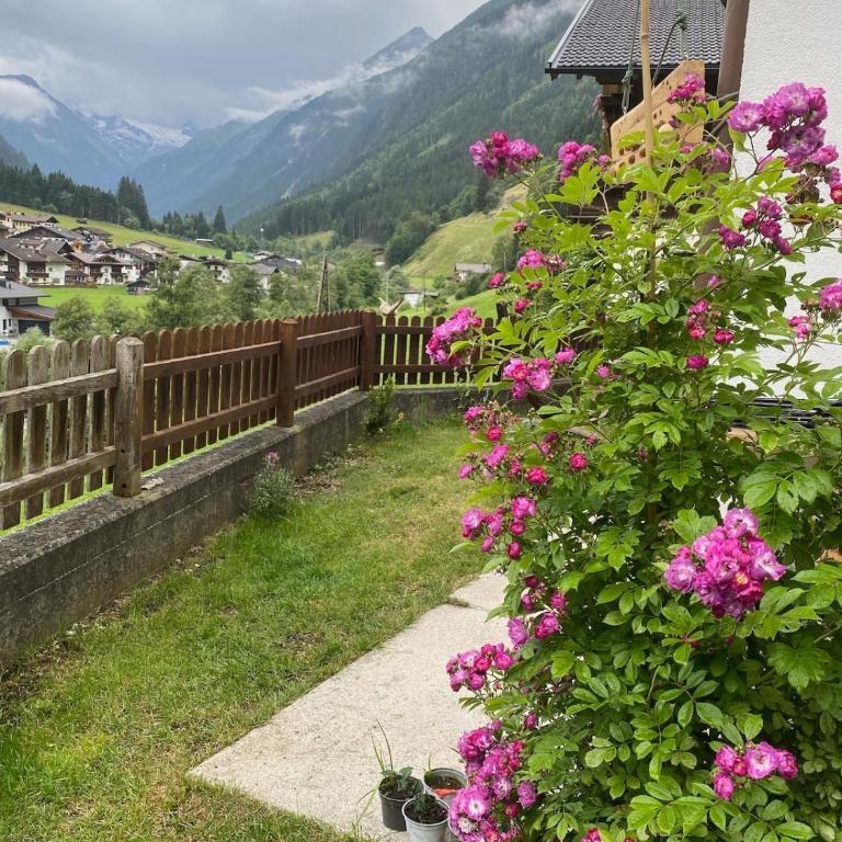 Ferienhaus Klenkes - entschleunigen und erholen - Apartment mit 1 Schlafzimmer - 19