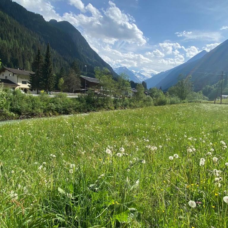 Ferienhaus Klenkes - entschleunigen und erholen - Apartment mit 1 Schlafzimmer - 36