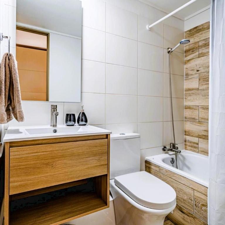 Paseo Bulnes Parque almagro palacio la moneda - Apartamento - 18