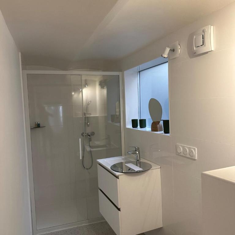 Grand studio refait à neuf - Appartement 1 Chambre - 5