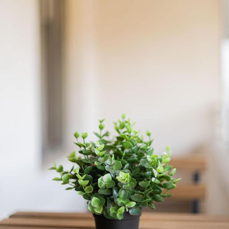 Experience Unique Spirit of Barrio Italia - Apartamento - 32